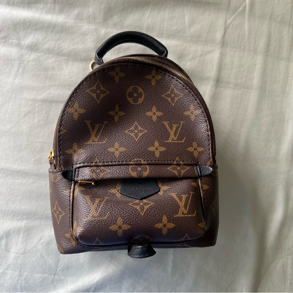 LOUIS VUITTON PALM SPRINGS MINI